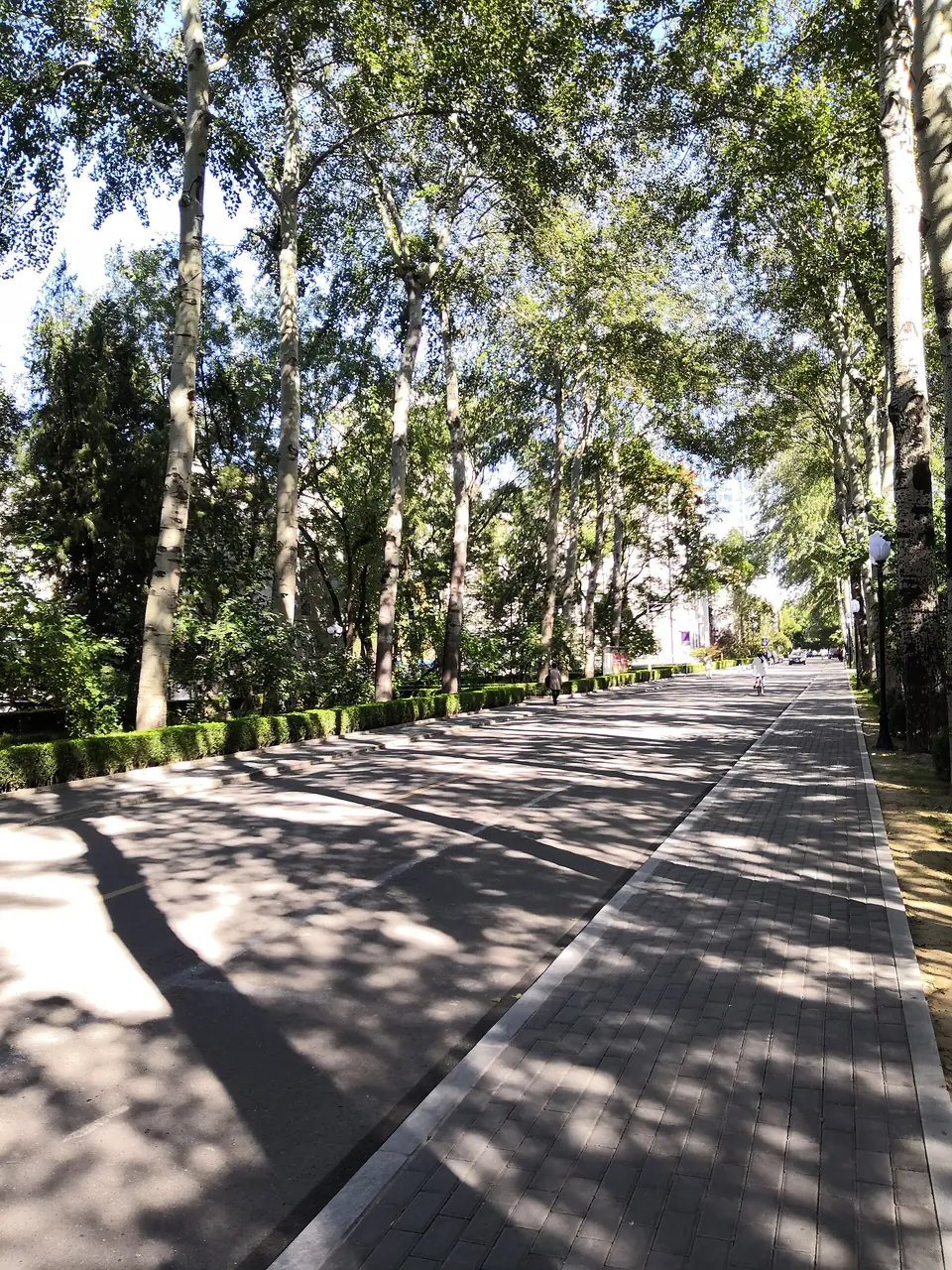 Đường đi trong cơ sở Hải Điến (Haidian), Đại học Công nghệ Bắc Kinh.