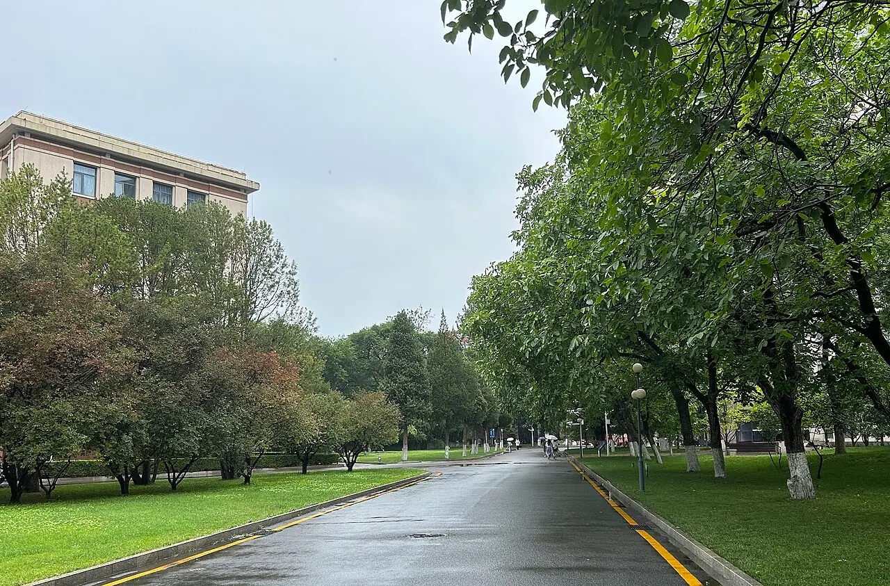Lối đi rợp cây trong khuôn viên Đại học Khoa học Địa chất Trung Quốc (Bắc Kinh)
