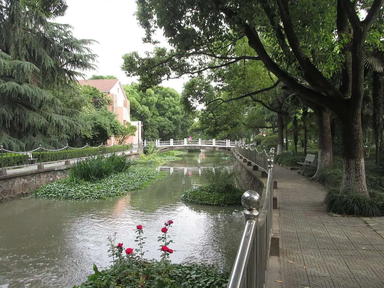 Dòng nước và cây xanh trong cơ sở Từ Hối của Đại học Khoa học và Công nghệ Hoa Đông