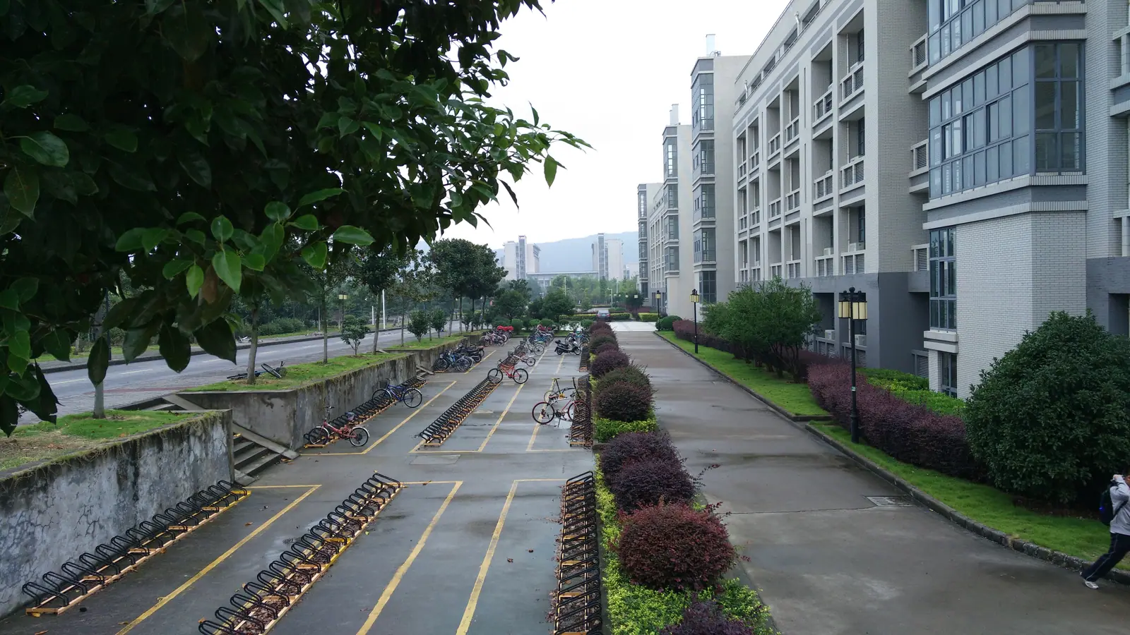 Lối đi rợp cây, bãi xe đạp và dãy nhà trong khuôn viên Đại học Giang Nam.