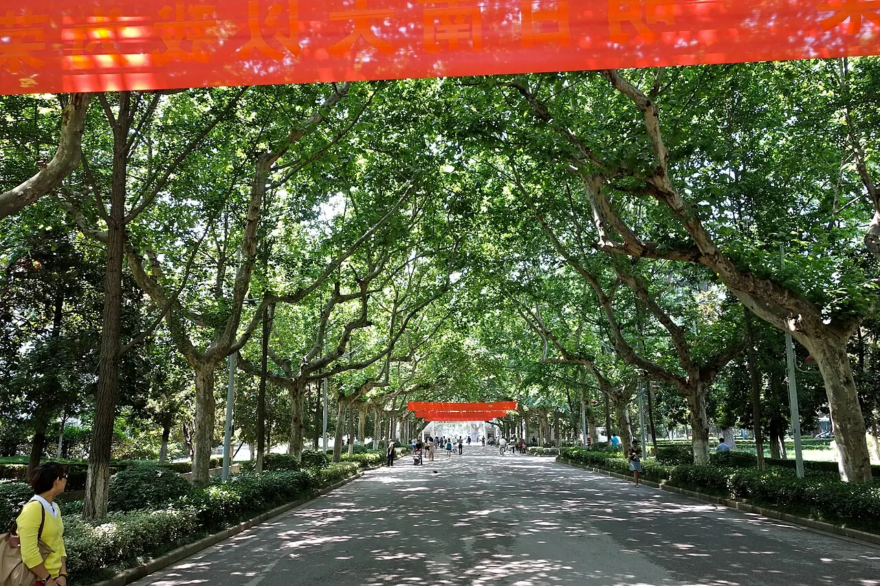 Lối đi rợp cây trong khuôn viên Đại học Nam Kinh