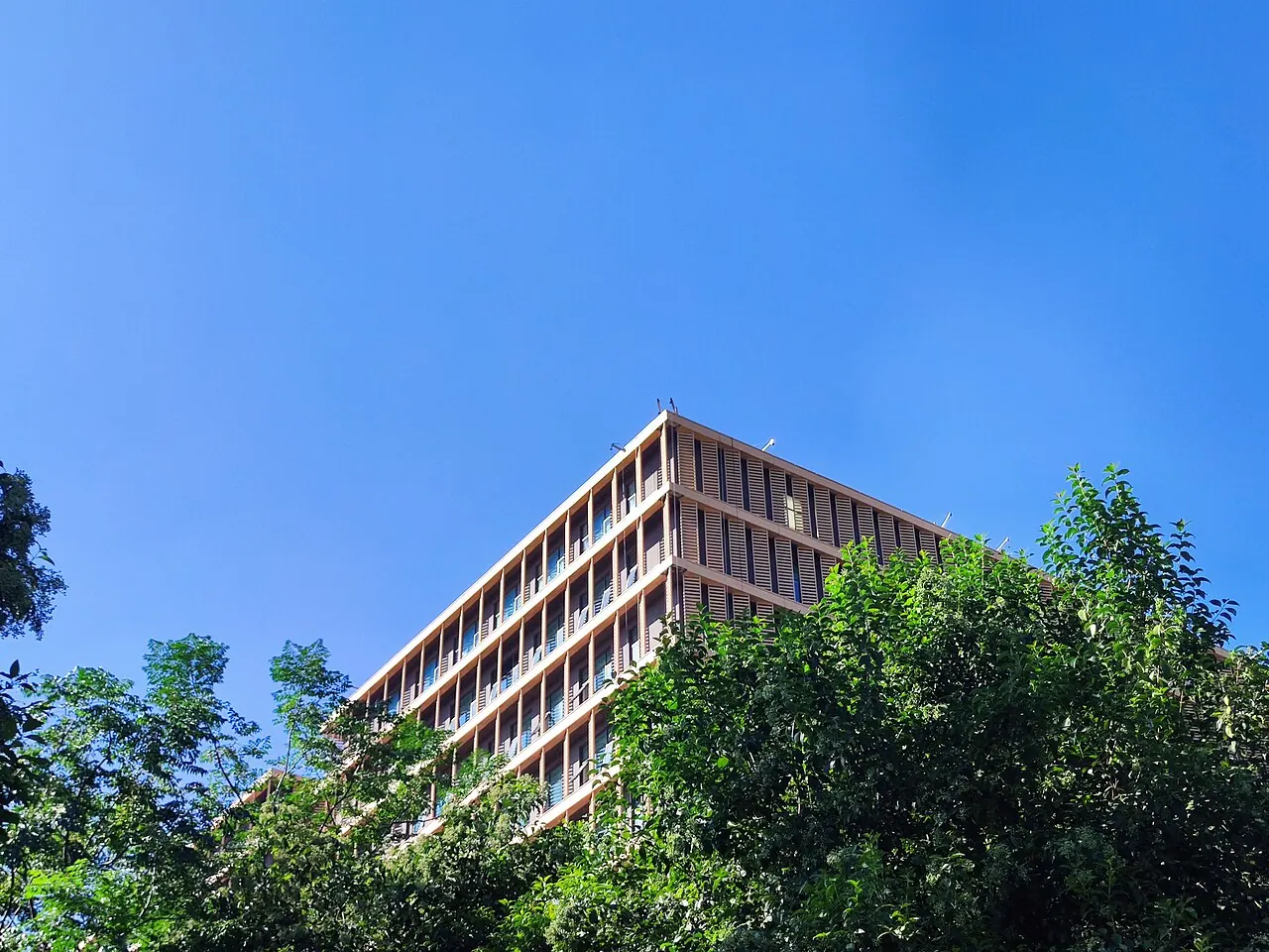 Một tòa nhà nhiều tầng nhô lên trên tán cây dưới trời xanh tại Đại học Điện tử Tây An.